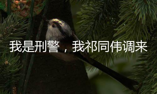 我是刑警，我祁同伟调来了