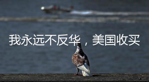 我永远不反华，美国收买不了我——一位坚定立场者的声音