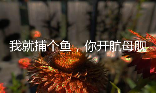 我就捕个鱼，你开航母舰队追我？