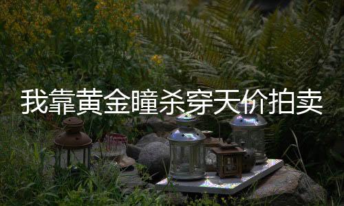 我靠黄金瞳杀穿天价拍卖会