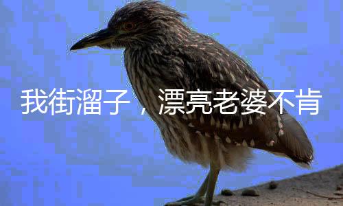 我街溜子，漂亮老婆不肯离婚！