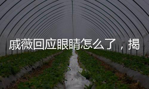 戚薇回应眼睛怎么了，揭秘真相，展现自信之美
