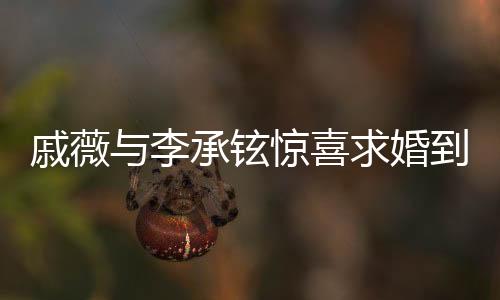 戚薇与李承铉惊喜求婚到结婚，爱情长跑终圆满