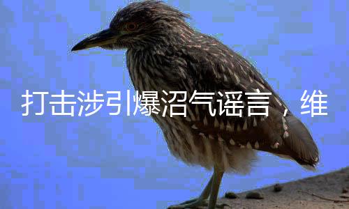 打击涉引爆沼气谣言，维护社会和谐稳定