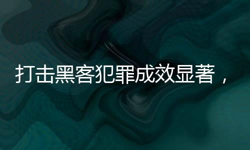 打击黑客犯罪成效显著，安全守护数字时代的力量显现