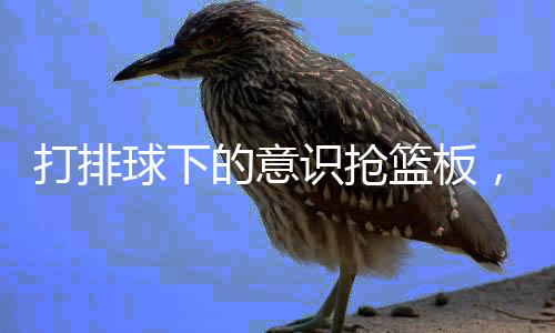 打排球下的意识抢篮板，揭秘球员卓越表现背后的秘诀