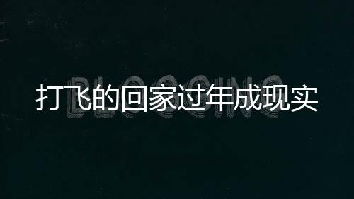 打飞的回家过年成现实