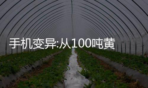 手机变异:从100吨黄金开始