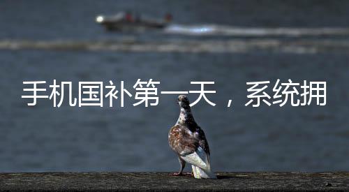 手机国补第一天，系统拥堵至瘫痪，引发业界热议