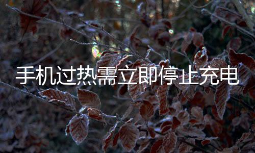 手机过热需立即停止充电，防范潜在风险，保护用户安全
