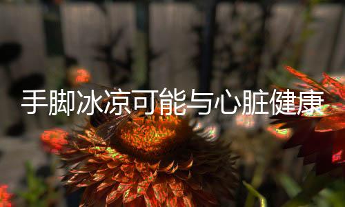 手脚冰凉可能与心脏健康有关，深入解析原因及应对措施