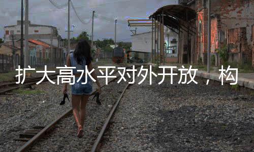 扩大高水平对外开放，构建开放型经济新局面