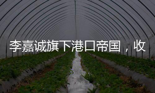 李嘉诚旗下港口帝国，收入概览与商业版图扩展