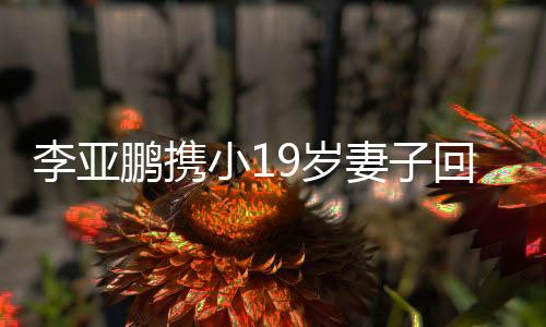 李亚鹏携小19岁妻子回四川过年的温情之旅
