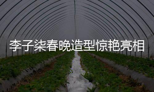 李子柒春晚造型惊艳亮相，融合潍坊风筝技艺展现传统文化魅力