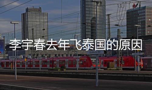 李宇春去年飞泰国的原因找到了