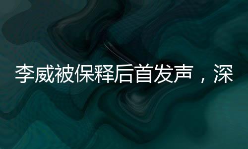 李威被保释后首发声，深度解读其背后的故事与未来展望（标题）