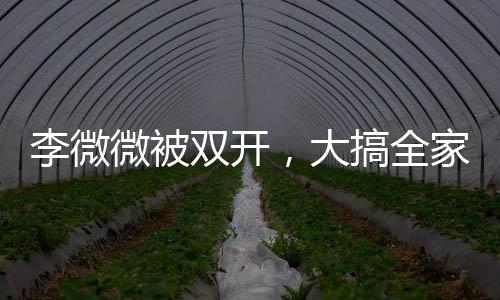 李微微被双开，大搞全家腐的丑闻