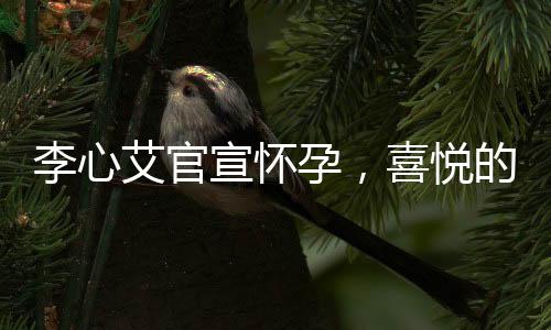 李心艾官宣怀孕，喜悦的官宣背后的小细节和热议背后的静谧心情