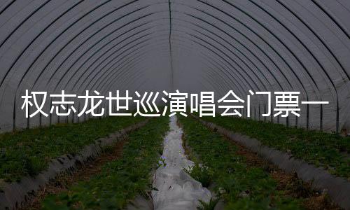 权志龙世巡演唱会门票一经开放即售罄 同时在线人数达24万