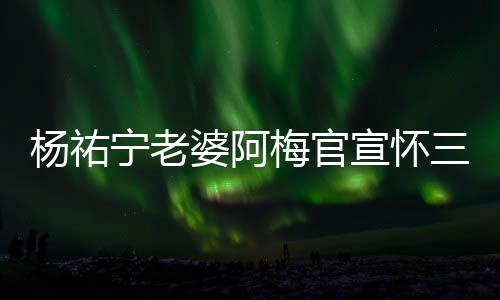 杨祐宁老婆阿梅官宣怀三胎，幸福家庭再添喜讯