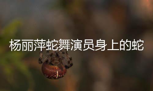 杨丽萍蛇舞演员身上的蛇鳞是特效化妆揭秘背后的艺术魔法