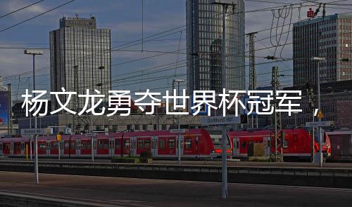 杨文龙勇夺世界杯冠军，中国乒乓球的辉煌时刻