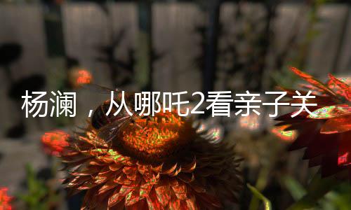 杨澜，从哪吒2看亲子关系