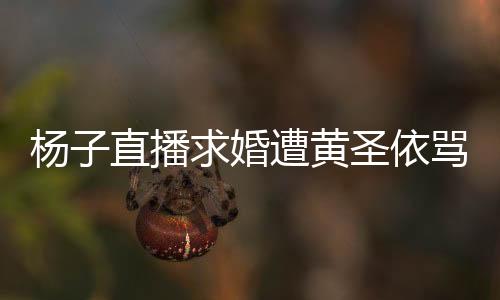 杨子直播求婚遭黄圣依骂五分钟内幕揭秘