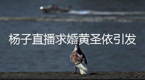 杨子直播求婚黄圣依引发争议，现场被骂五分钟