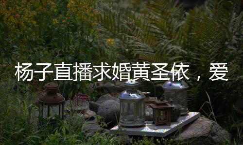 杨子直播求婚黄圣依，爱情与数字共舞的一刻