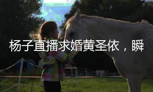 杨子直播求婚黄圣依，瞬间点燃社交媒体热度的爱情见证仪式