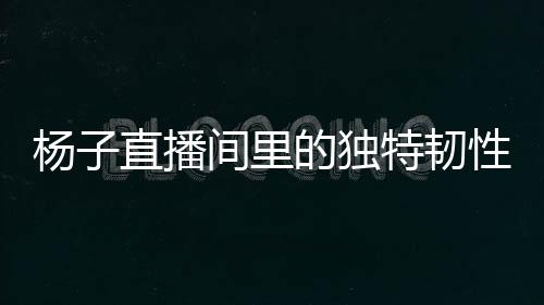杨子直播间里的独特韧性，即便家园已变，也要继续直播卖货