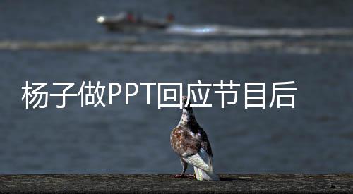 杨子做PPT回应节目后生活，揭秘明星幕后的真实故事