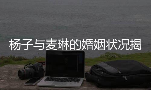 杨子与麦琳的婚姻状况揭秘，传闻中的离婚真相探究