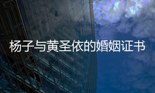 杨子与黄圣依的婚姻证书，揭秘二人的真实关系走向