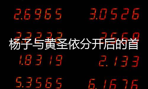 杨子与黄圣依分开后的首次同框，时间的交错与命运的交集