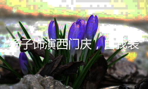 杨子饰演西门庆，自我表现与角色塑造的完美融合