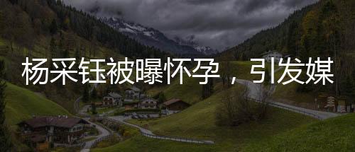 杨采钰被曝怀孕，引发媒体热议