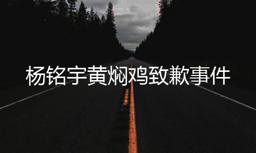 杨铭宇黄焖鸡致歉事件