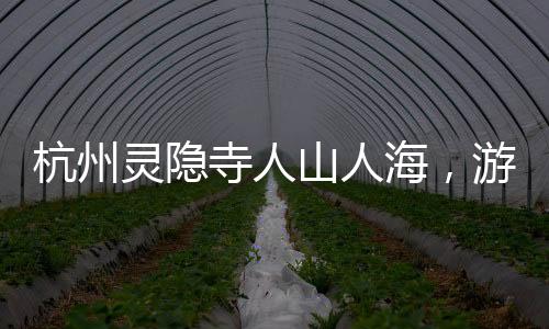 杭州灵隐寺人山人海，游客纷至沓来，感受千年古刹的魅力