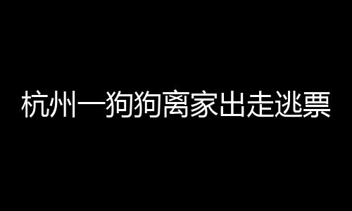 杭州一狗狗离家出走逃票上地铁被捉，宠物与公共交通的交汇事件揭秘