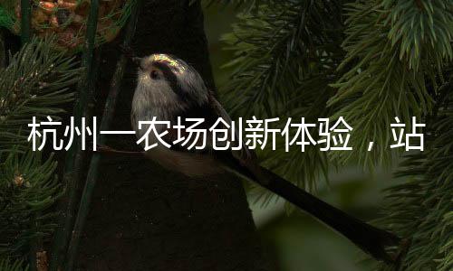 杭州一农场创新体验，站着就能摘草莓