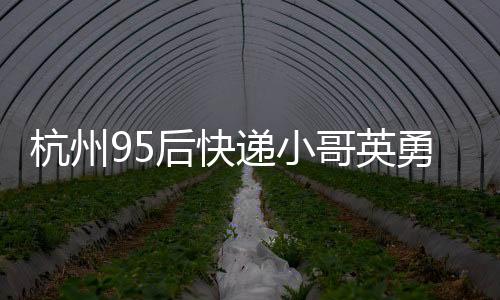 杭州95后快递小哥英勇守护老人巨额财物，展现新时代正能量