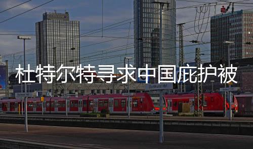杜特尔特寻求中国庇护被拒？中方回应
