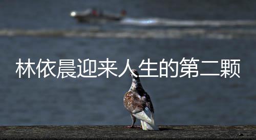 林依晨迎来人生的第二颗繁星——孕肚再次掀起娱乐圈的热潮