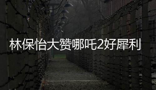 林保怡大赞哪吒2好犀利，深度解读这部备受瞩目的动画电影
