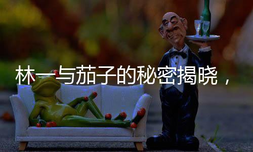 林一与茄子的秘密揭晓，隐藏事件全面曝光