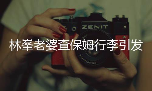 林峯老婆查保姆行李引发社会热议，真相究竟如何？