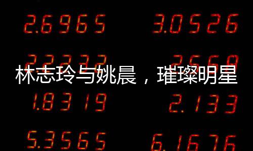 林志玲与姚晨，璀璨明星的美丽风采